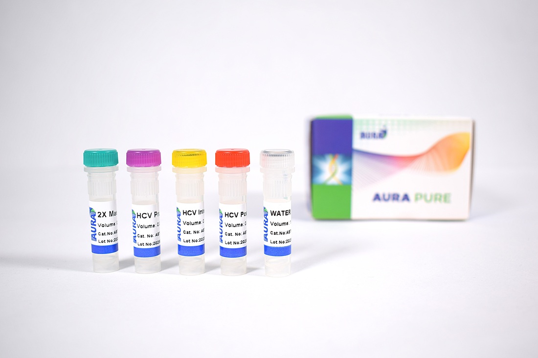 Hepatitis C Virus